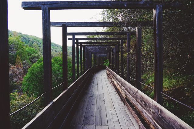 Wooden walkway in the midst of a lush forest, framed by a series of wooden crossbeams. Ideal for promoting outdoor adventures, park trails, forestry services, nature retreats, and scenic pathways.