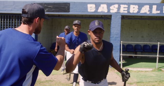 Baseball Players Fist Bumping After a Successful Practice Session - Download Free Stock Images Pikwizard.com