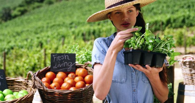 This stock photo depicts a female farmer holding seedlings while standing at a farmers' market. She is surrounded by fresh produce such as tomatoes and apples in wicker baskets. This image captures the essence of organic farming, fresh living, and healthy eating. The woman’s casual attire and straw hat enhance the atmosphere of rural farm life. Ideal for use in agricultural blogs, organic produce advertisements, and lifestyle articles promoting farm-to-table concepts.
