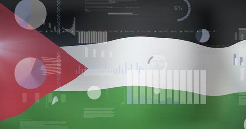 digital data overlay on palestine flag background - Download Free Stock Images Pikwizard.com