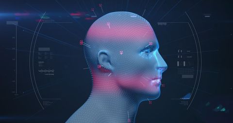 Digital Human Head Representation with Conceptual Network - Download Free Stock Images Pikwizard.com