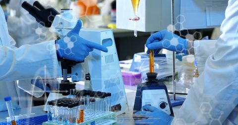 Diverse Scientists Conducting Experiments in Laboratory with Digital Interface - Download Free Stock Images Pikwizard.com