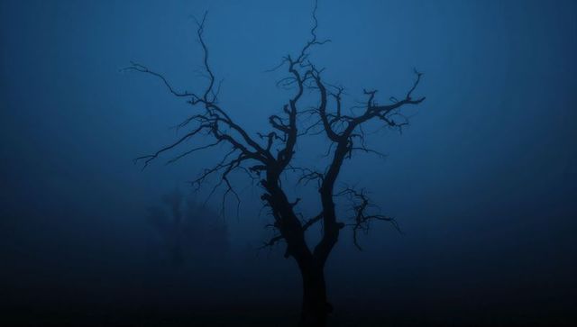 Solitary gnarled tree silhouette reaching into dense blue fog at twilight, eerie desolation