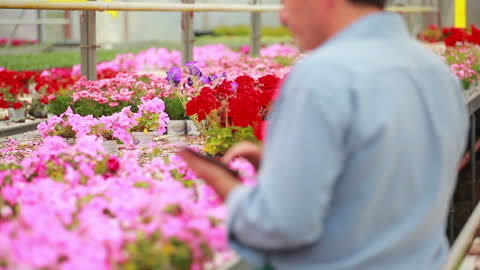 Man Using Tablet PC in Greenhouse with Colorful Flowers