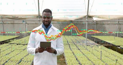 Researcher analyzing data in modern greenhouse with seedlings