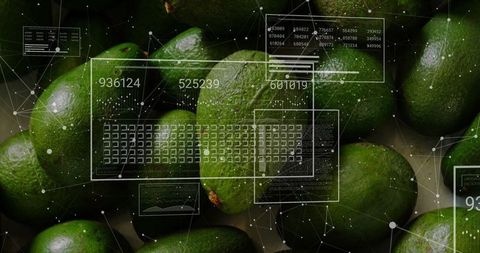 Limes and digital technology fusion with numeric interfaces
