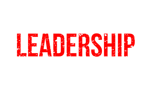 Bold Leadership Text on Transparent Background for Business Concepts - Download Free Stock Videos Pikwizard.com