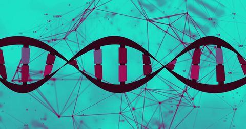 Digital DNA Strand with Data Visualization Elements