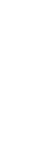 Elegant female silhouette with binoculars on transparent background