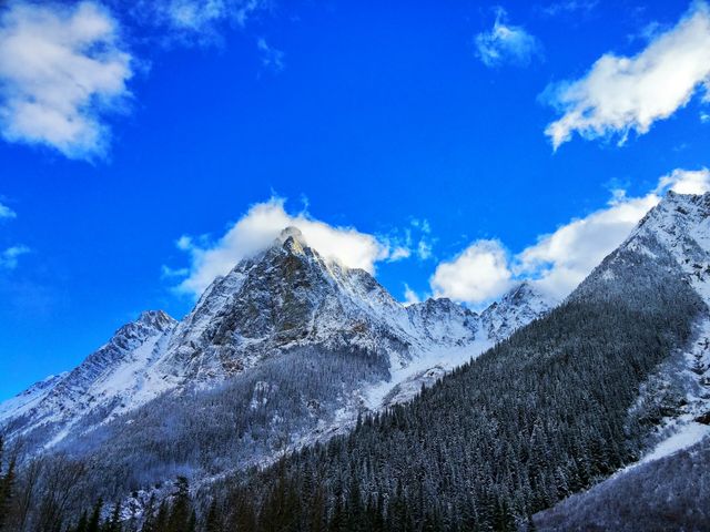 This photo features a majestic, snow-covered mountain peak under a clear blue sky with scattered white clouds. The foreground and slopes are adorned with snow-covered trees, enhancing the wintry ambiance. Perfect for use in travel blogs, nature-themed presentations, winter sports destination promotions, and scenic wallpapers.