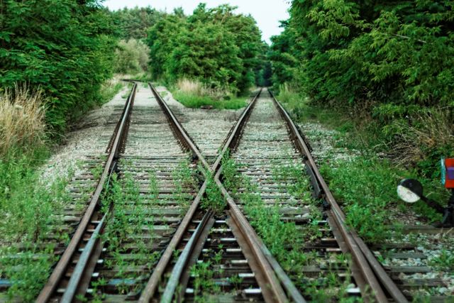 Converging railroad tracks surrounded by dense green forest. Ideal for concepts of travel, journeys, and pathways. Suitable for backgrounds, travel articles, and nature-focused publications.