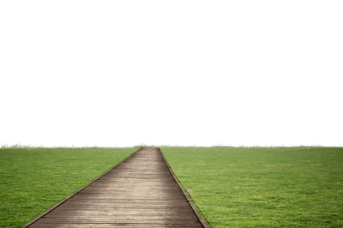Wooden Path Crossing Lush Green Grass on Transparent Background - Download Free Stock Videos Pikwizard.com