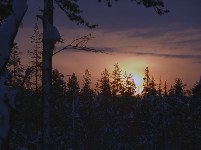 Finland sunset - Download Free Stock Photos Pikwizard.com