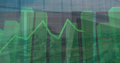 Dynamic Financial Growth Analysis with Data Visualization