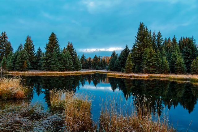 Tranquil Evergreen Forest Reflecting in Calm Lake at Dusk - Download Free Stock Photos Pikwizard.com