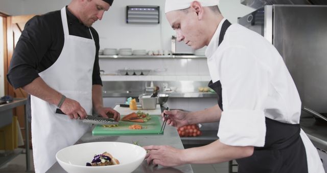 Chefs Preparing Gourmet Dishes in Professional Kitchen - Download Free Stock Images Pikwizard.com