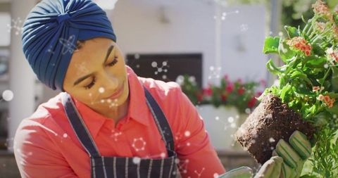 Woman wearing blue headwrap tending flowering potted plant while handling root ball