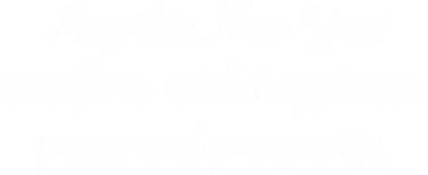 New year wishes in white text on transparent background