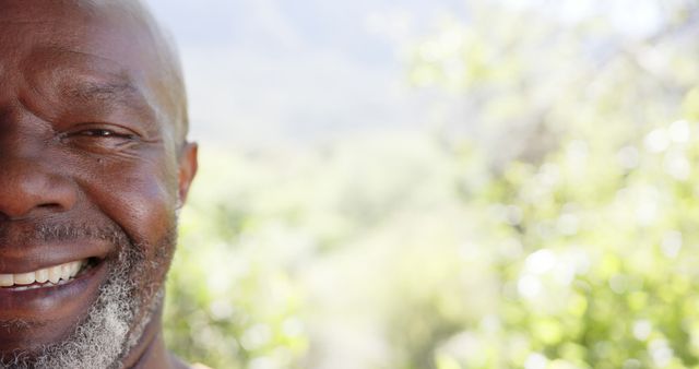 Happy Elderly Man Smiling Outdoors in Nature - Download Free Stock Images Pikwizard.com