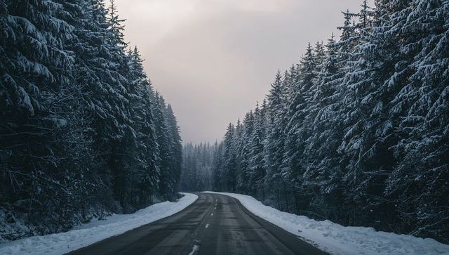 Curving road cutting through snow-covered evergreen forest with misty winter atmosphere