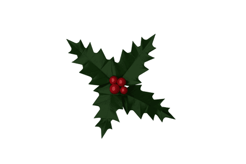 Transparent christmas holly with red berries isolated