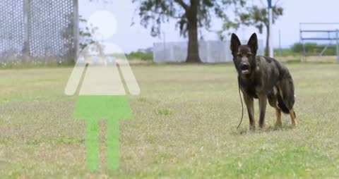 German Shepherd with Standing Restroom Symbol on Field