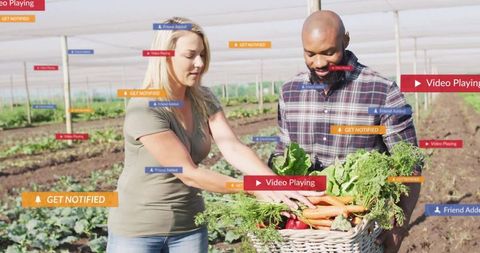Farmers Harvesting Organic Vegetables Enhancing Efficiency with Technology