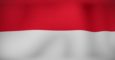 Indonesian Flag with Digital Overlay - Download Free Stock Images Pikwizard.com