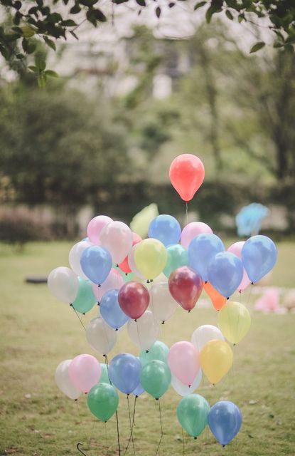 Colorful Balloons Floating in Lush Park - Download Free Stock Photos Pikwizard.com