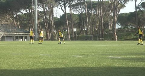 Soccer Players Training on Sunny Field Among Tall Trees