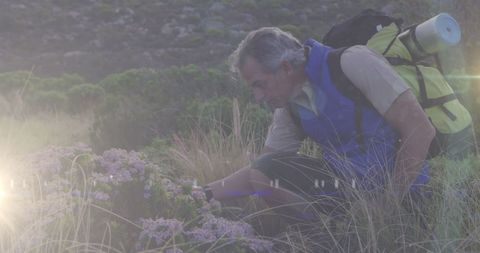 Middle-aged male hiker examining flora on scenic hike