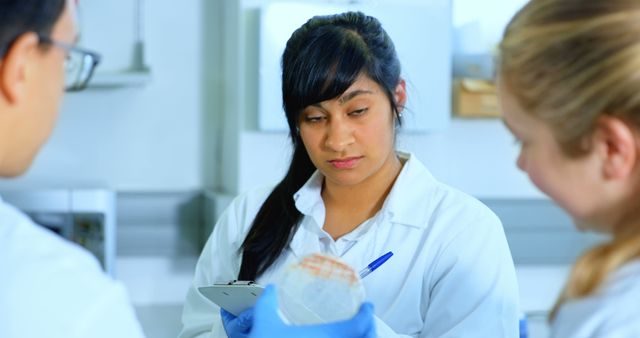 Three Scientists Examining Petri Dish in Laboratory - Download Free Stock Images Pikwizard.com