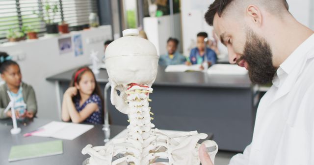 Teacher demonstrating human skeleton to young students in a classroom setting during a science lesson. Ideal for educational content, biology teaching materials, academic articles, or school-related promotions.