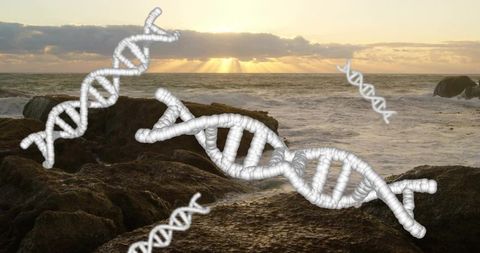 White 3d dna helix floating over rocky coastline at sunset with dramatic golden hour light