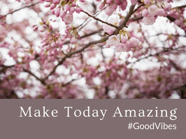 This image features a motivational message overlaying a scene of cherry blossoms in full bloom. The words 'Make Today Amazing' and '#GoodVibes' encourage positivity and a fresh start. Perfect for greeting cards, social media posts, desktop wallpapers, and wellness blog content, symbolizing renewal and optimism.
