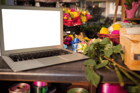 Transparent Screen Laptop in Vibrant Flower Shop - Download Free Stock Videos Pikwizard.com