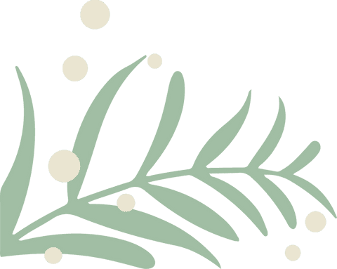Transparent botanic illustration with green leaves and cream berries