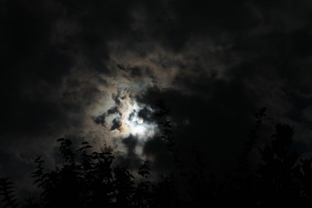 Dark sky with moon peeking through dense clouds creating eerie and mysterious atmosphere. Silhouetted tree branches add to the dramatic effect. Ideal for Halloween themes, atmospheric designs, mystery, and horror projects.