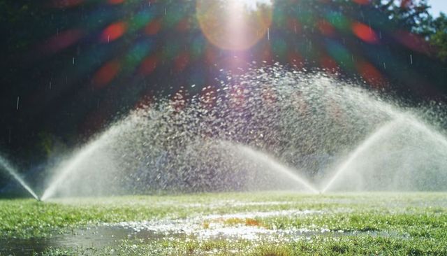 Backlit pop-up sprinklers wetting sports field with sparkling mist, puddles, lens flare