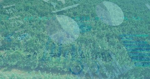 Precision agriculture with data overlays on orchard farms