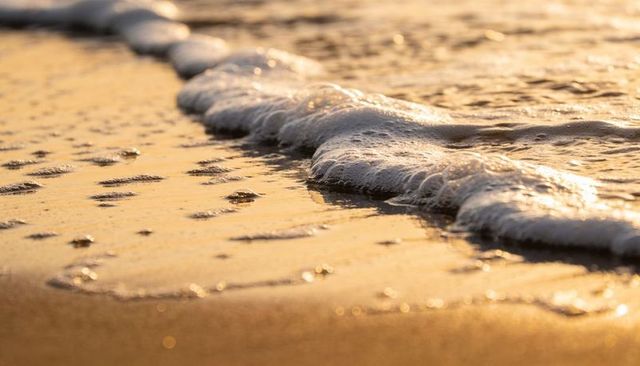 Golden sunset wave lapping wet sand with foamy bubbles and sparkling highlights