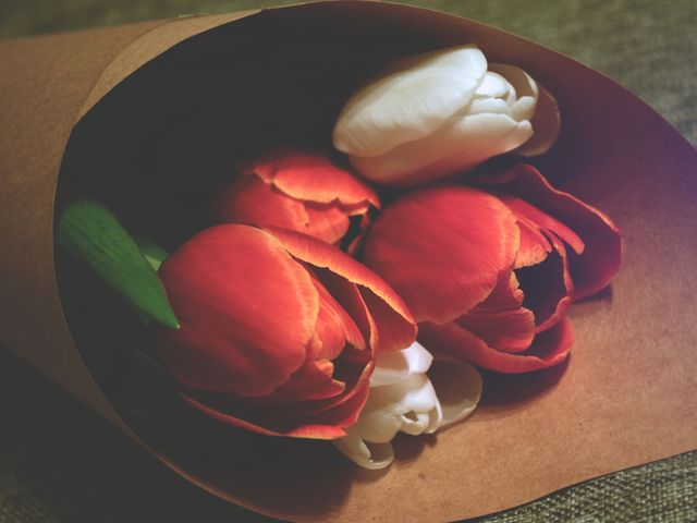 Red and white tulips are carefully wrapped in brown paper, showcasing a delicate and romantic floral arrangement. Ideal for advertising flower shops, gift exchanges, occasions such as Valentine's Day, Mother's Day, and weddings, this image emanates classic beauty and natural elegance.