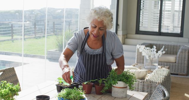 Senior woman engaged in indoor gardening with various potted plants by a large window. Ideal for concepts related to healthy aging, indoor hobbies, relaxation, grandmother's activities, and home gardening projects.