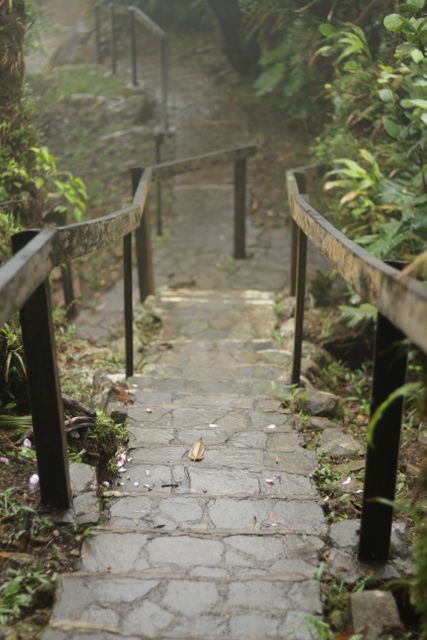 Misty Stone Staircase on Nature Trail - Download Free Stock Photos Pikwizard.com