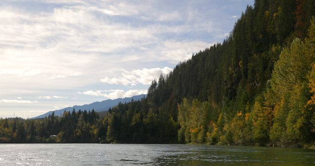 Autumn colors adorn the trees along the serene river, creating a picturesque landscape. The changing foliage reflects the seasonal transition, offering a tranquil setting for nature enthusiasts.