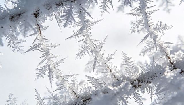 Sparkling hoarfrost crystals forming on frosted twigs macro with soft bokeh and icy texture