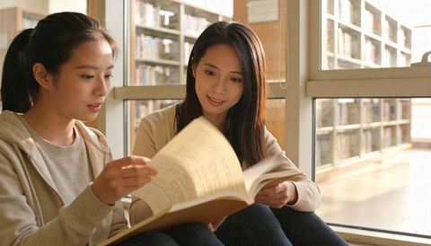 Young women students studying together, pointing through textbook at sunlit library window
