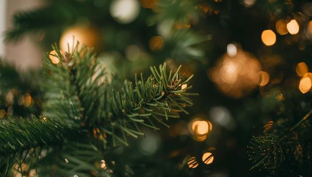 Evergreen branch close-up with golden bauble and warm bokeh lights christmas macro