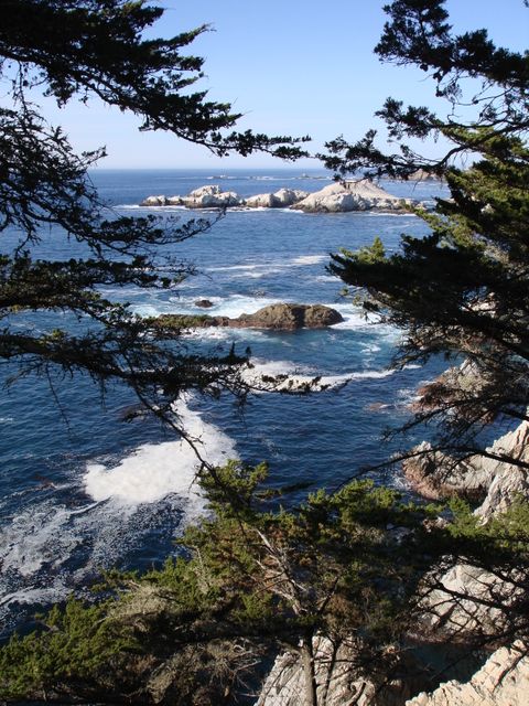 Serene scene of ocean waves crashing against rocks, viewed through tree branches. Can be used for promoting travel destinations, nature conservation, relaxation themes, and backgrounds for websites or presentations.