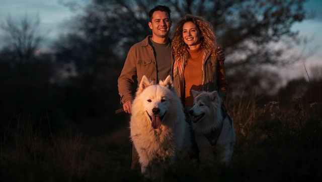 Smiling couple walking white fluffy dogs at golden hour in meadow outdoor lifestyle